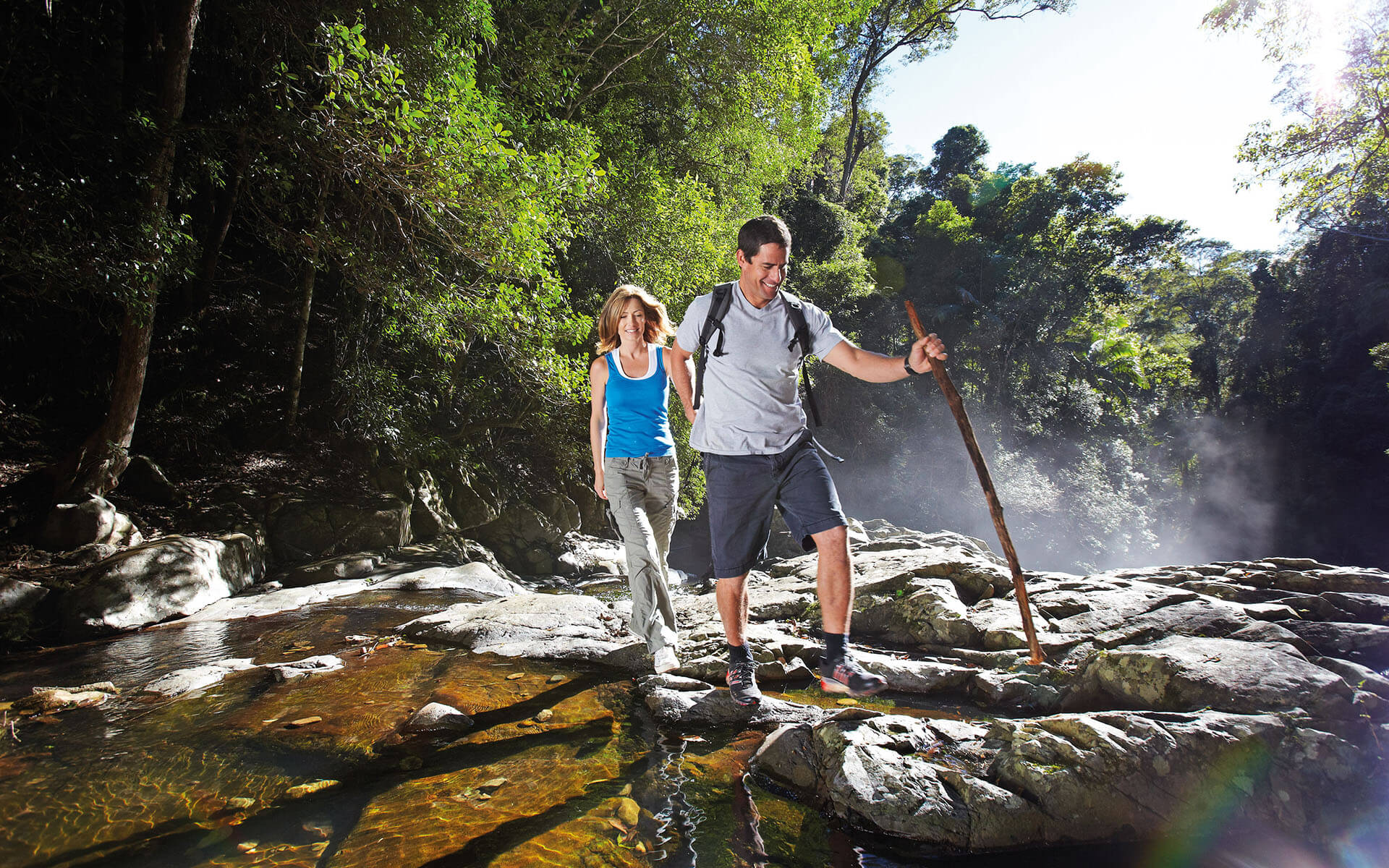 Rainforest Way Gold Coast Springbrook Waterfall